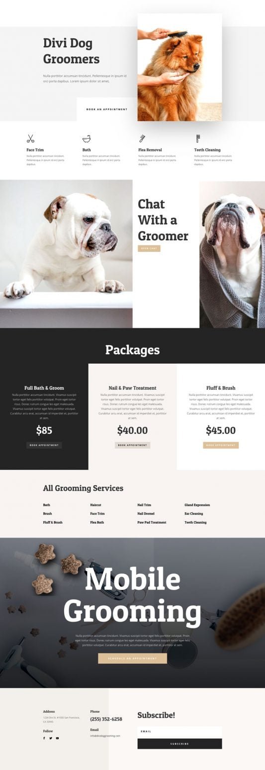 Digital Marketing for Dog Groomers – Port Macquarie, New South Wales Specialists