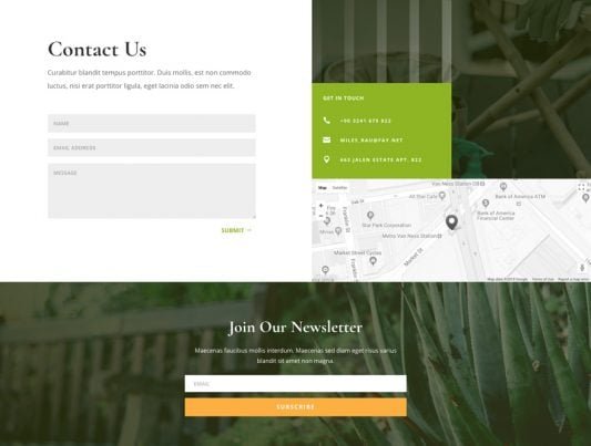 Local Gardener SEO & Marketing – St Albans, Victoria | Digital Agency